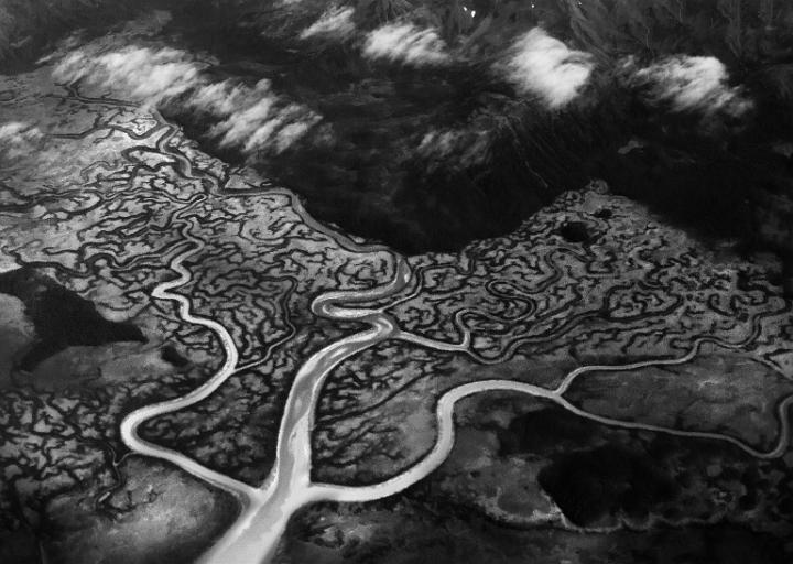 Dendritic Pattern 14-8835 bw.jpg